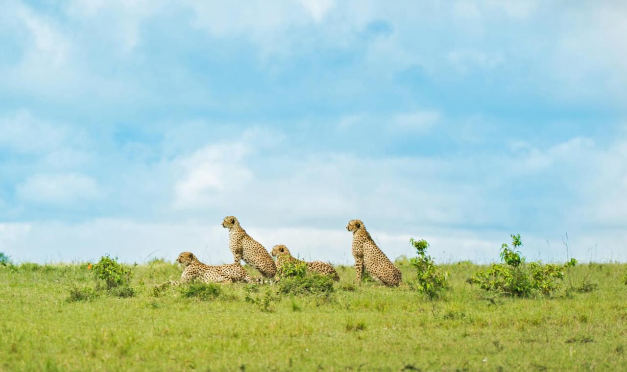 Eagle View, Mara Naboisho Exterior foto
